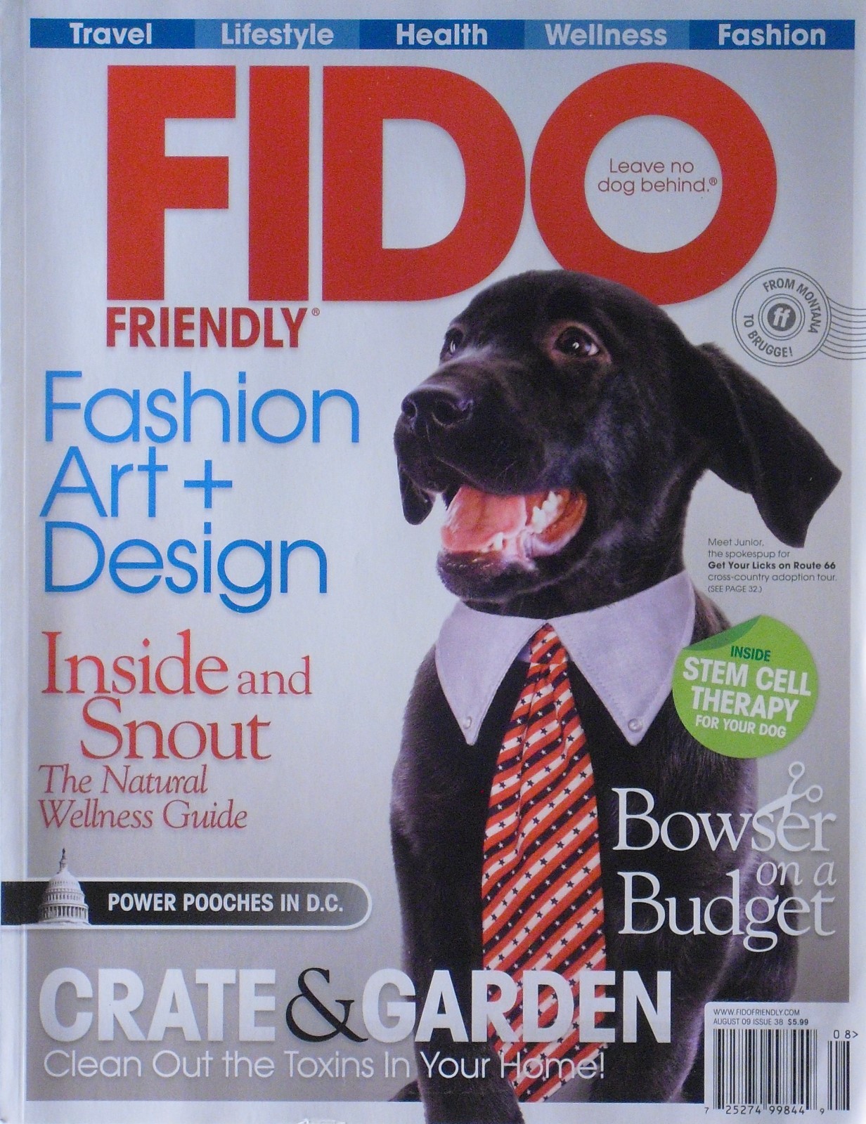 FASHION, ART & DESIGN August 2009 FIDO MAGAZINE Inside Stem Cell Therapy