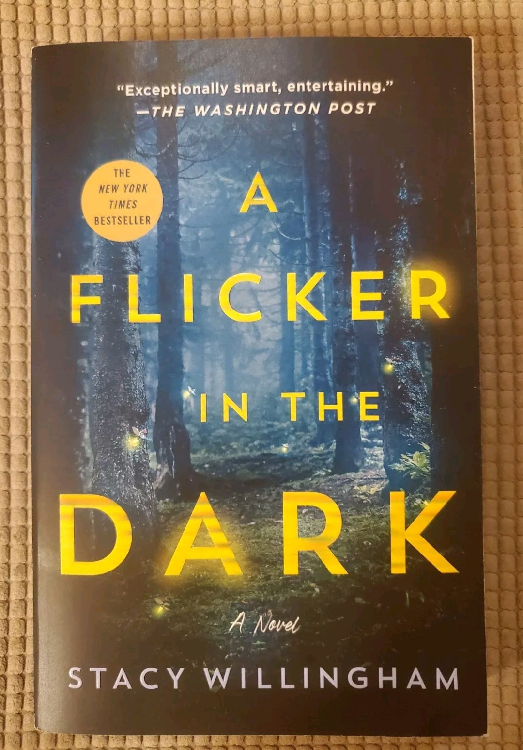 A Flicker in the Dark : A Novel by Stacy Willingham (2023, Trade Paperback) NEW