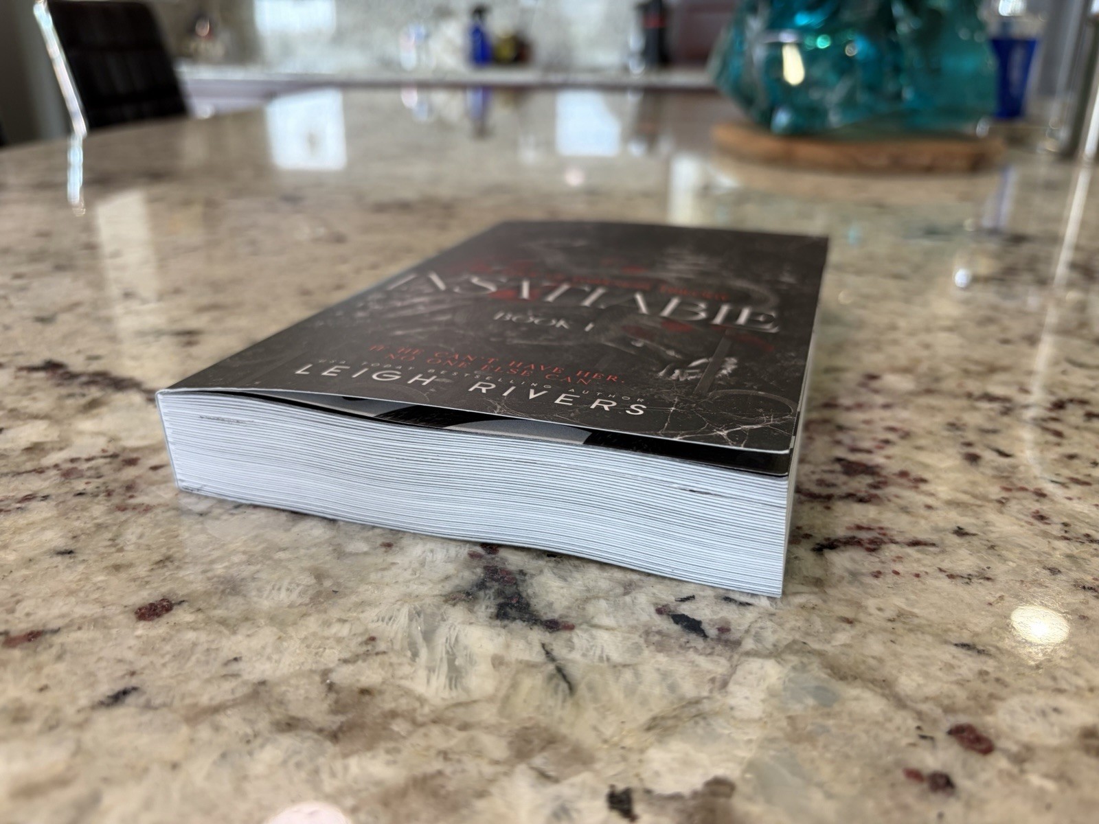 Insatiable OOP – The Edge of Darkness : Book – by Leigh Rivers