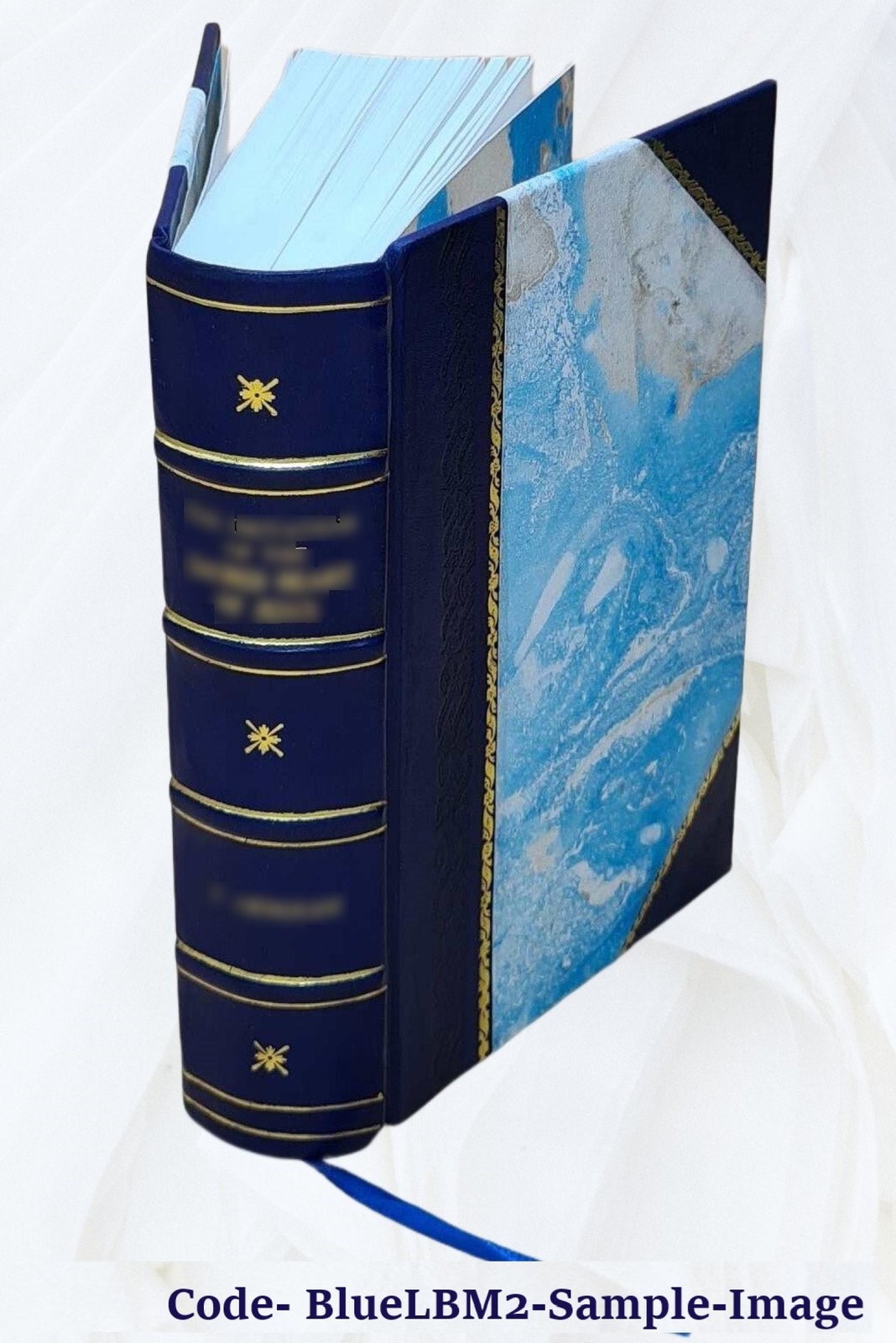 A treatise on equity jurisprudence, as administered i Vol.1 1905 [Leather Bound]