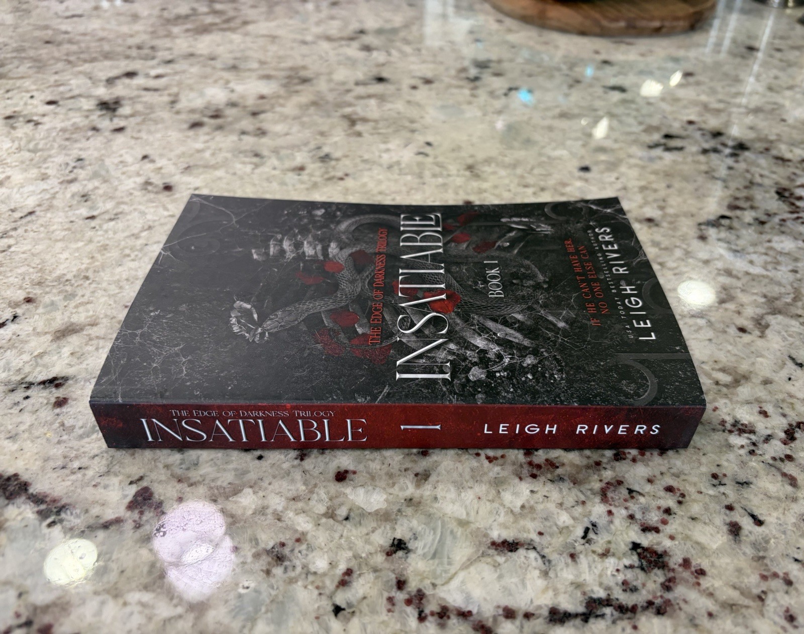 Insatiable OOP – The Edge of Darkness : Book – by Leigh Rivers