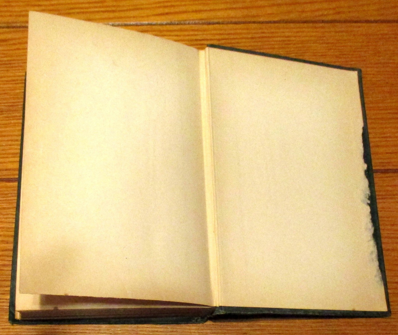 1927 Face To Face With Great Musicians by Charles D. Issacson H/C 364 Pages