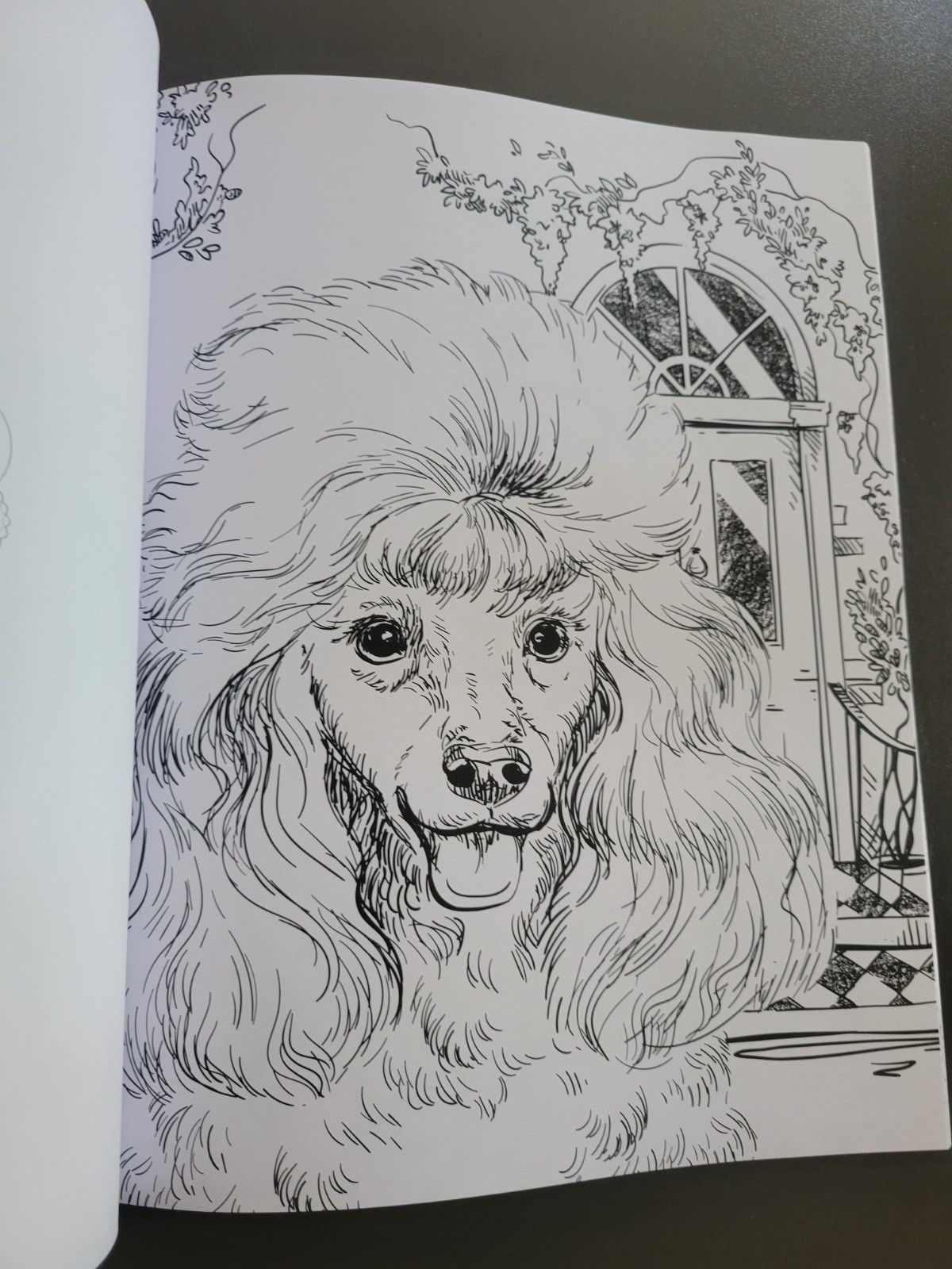 DOGS by Colouring Heaven – Adult Coloring Book – A Meditative Art Therapy Book