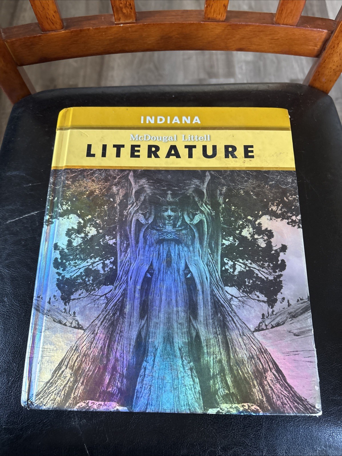 McDougal Littel Literature Grade 6 Teacher & Student Textbook Set