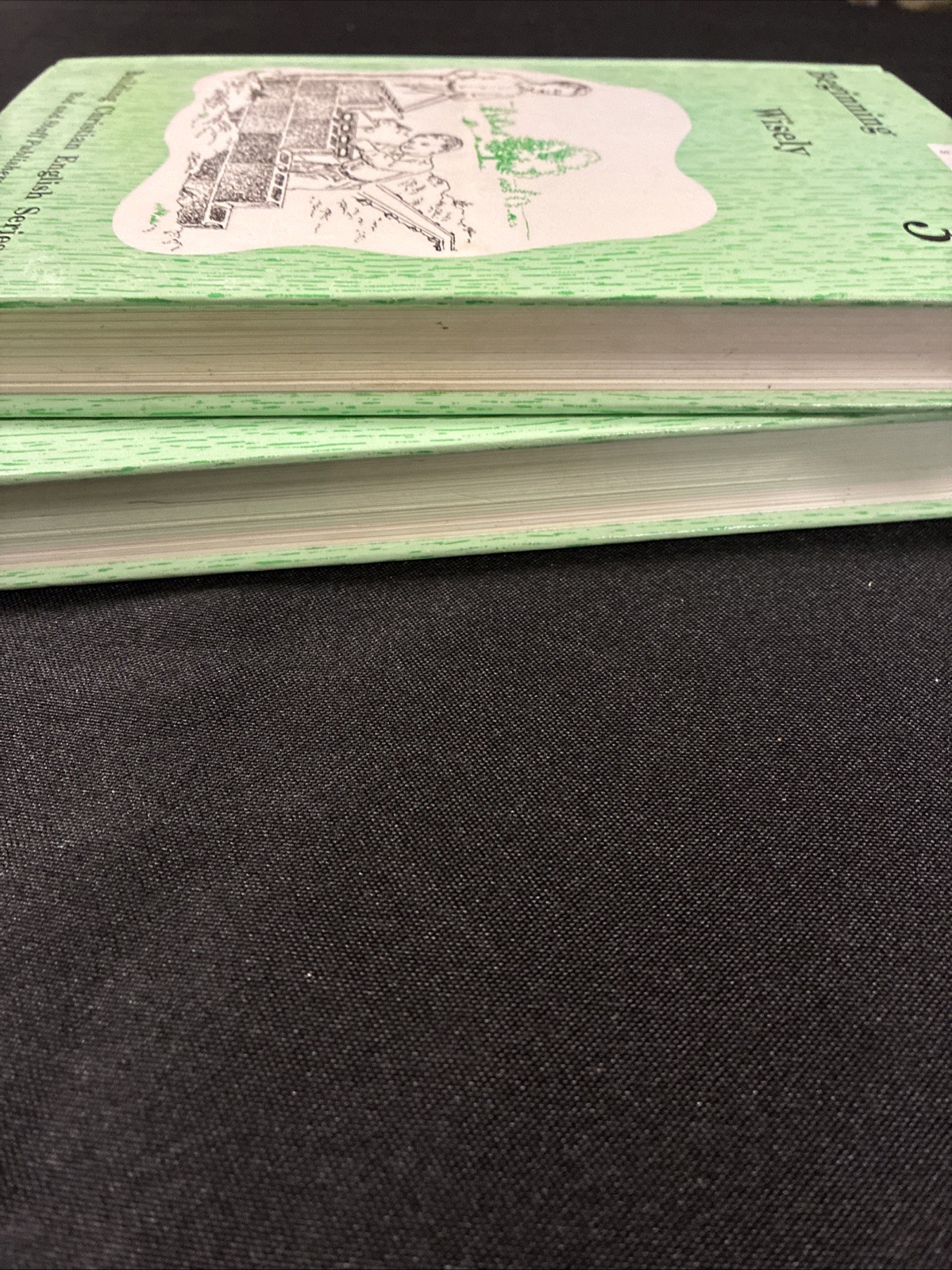Rod and Staff Beginning Wisely: English 3 Set – Teacher and Student Books