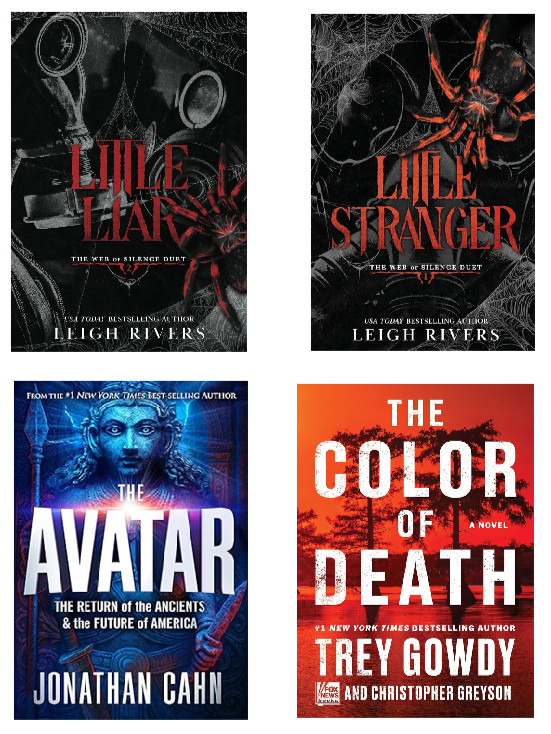 4 book set Avatar+Color+Liar+Stranger by Leigh Rivers Free Shipping Paperback
