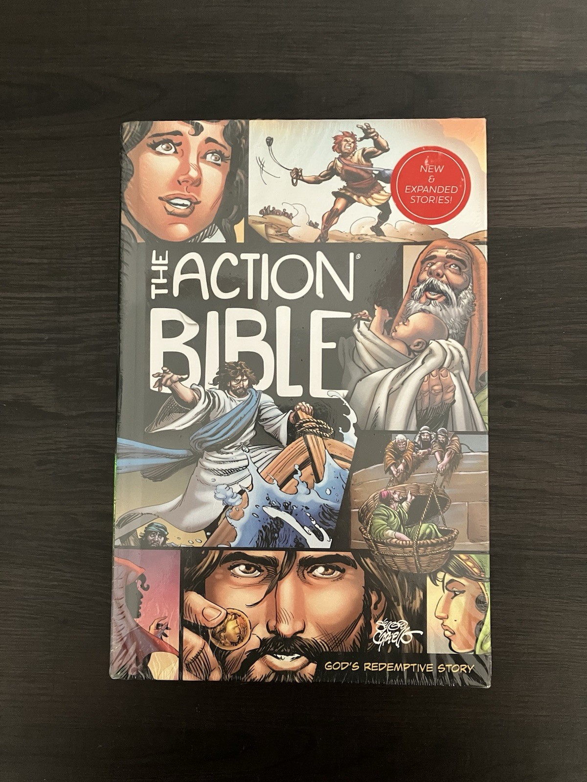 The Action Bible Gods Redemptive Story