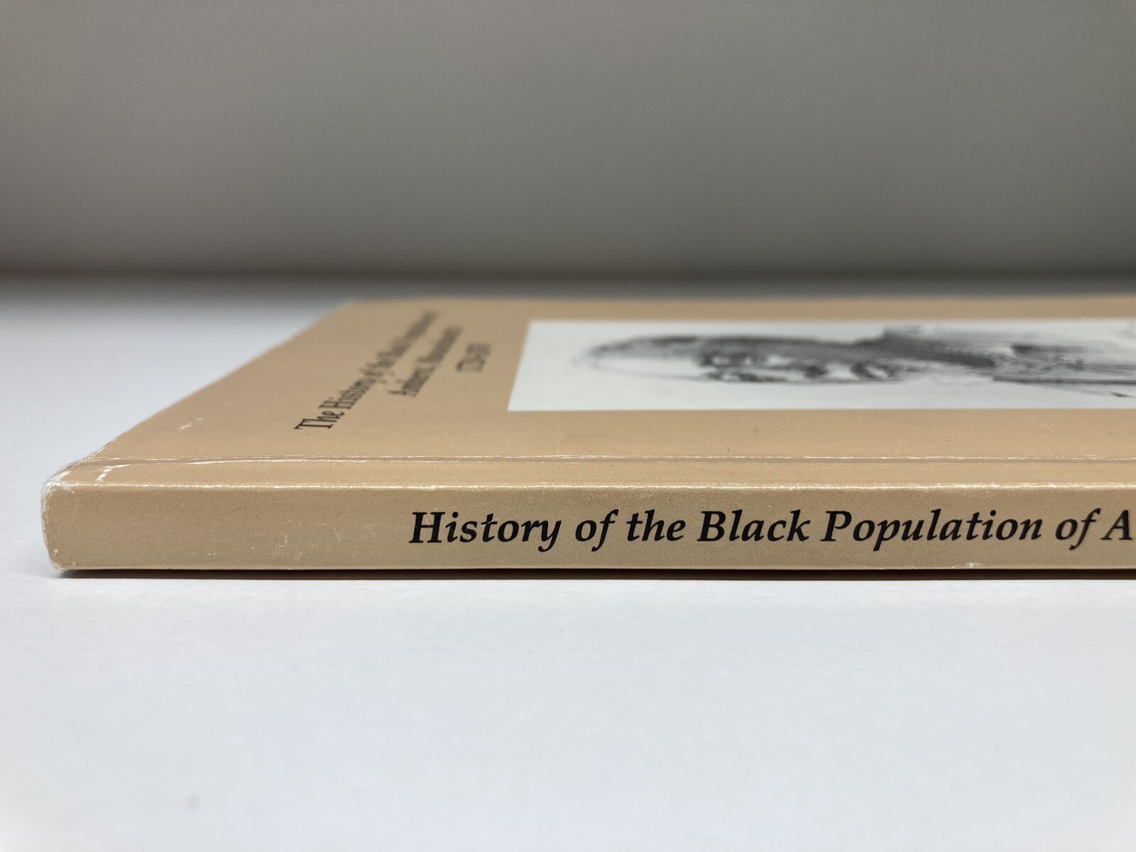 The History of the Black Population of Amherst, Massachusetts 1728-1870