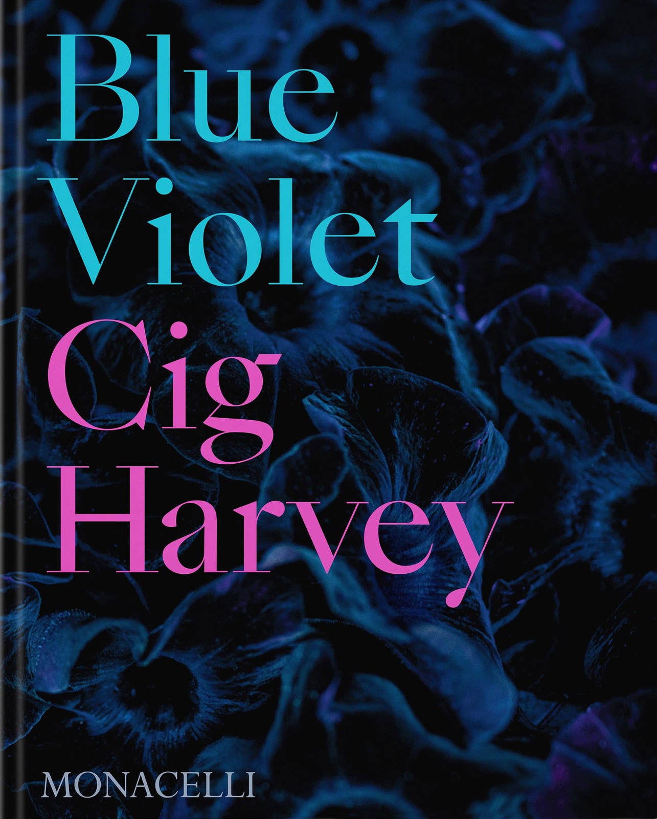 BLUE VIOLET BY Cig Harvey HARDCOVER **VERY_GOOD**