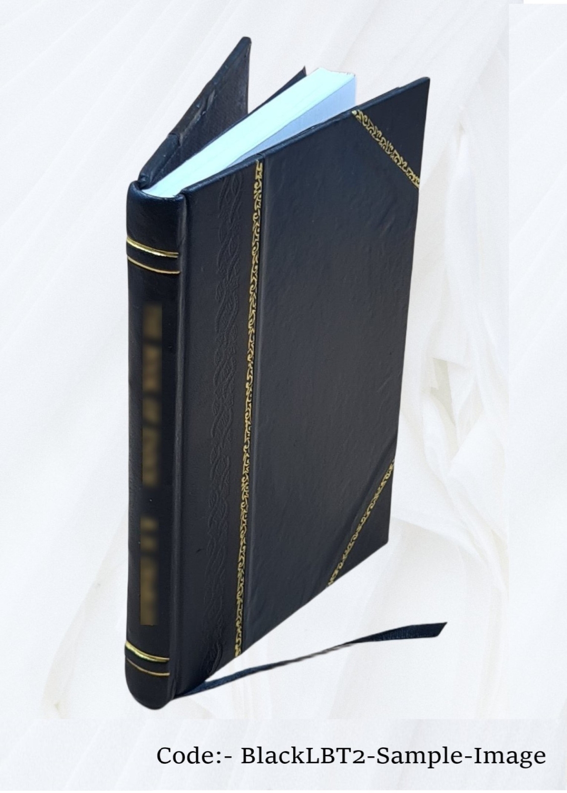 Agatha’S Unknown Way; A Story Of Missionary Guidance 1898 [Leather Bound]