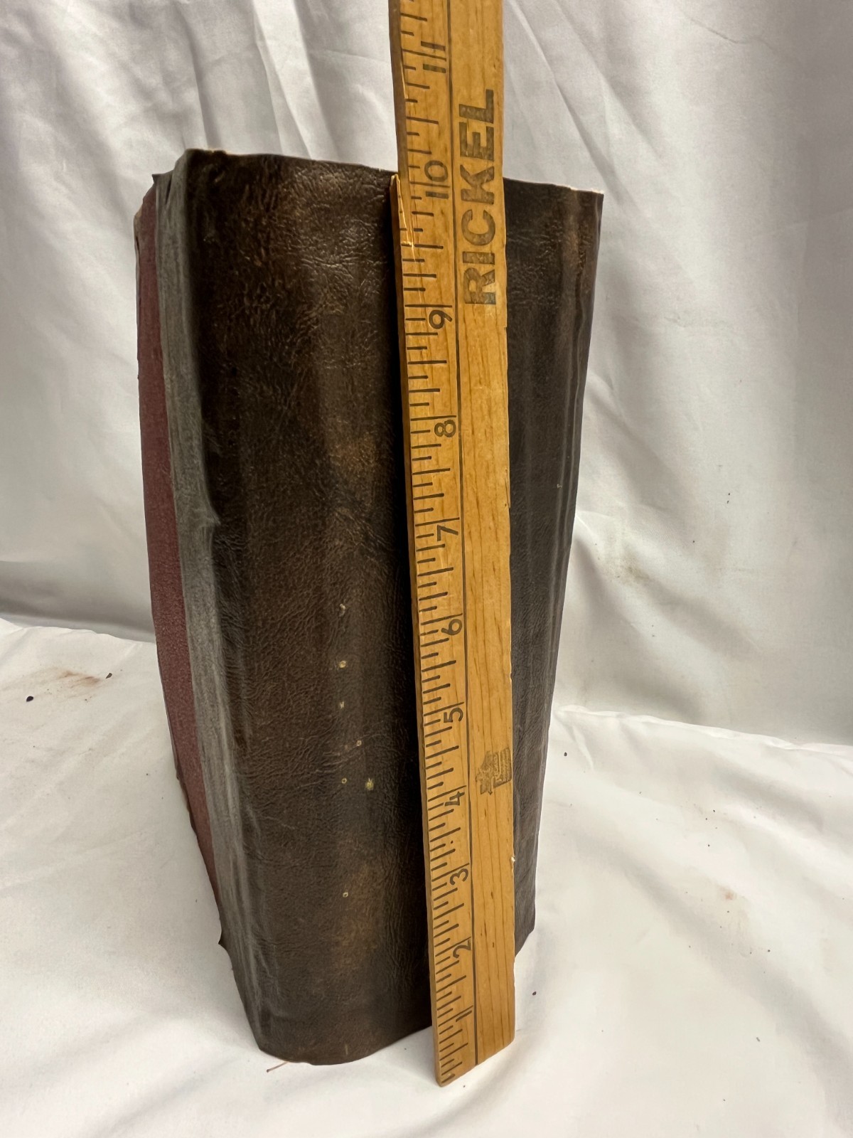 1913 Health and Longevity 15 Books In 1 Vol. Medical Body Illustration Guide