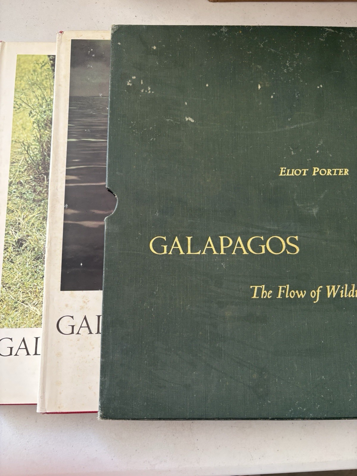 Galapagos The Flow of Wildness Eliot Porter Sierra Club Nature Photo Slipcase