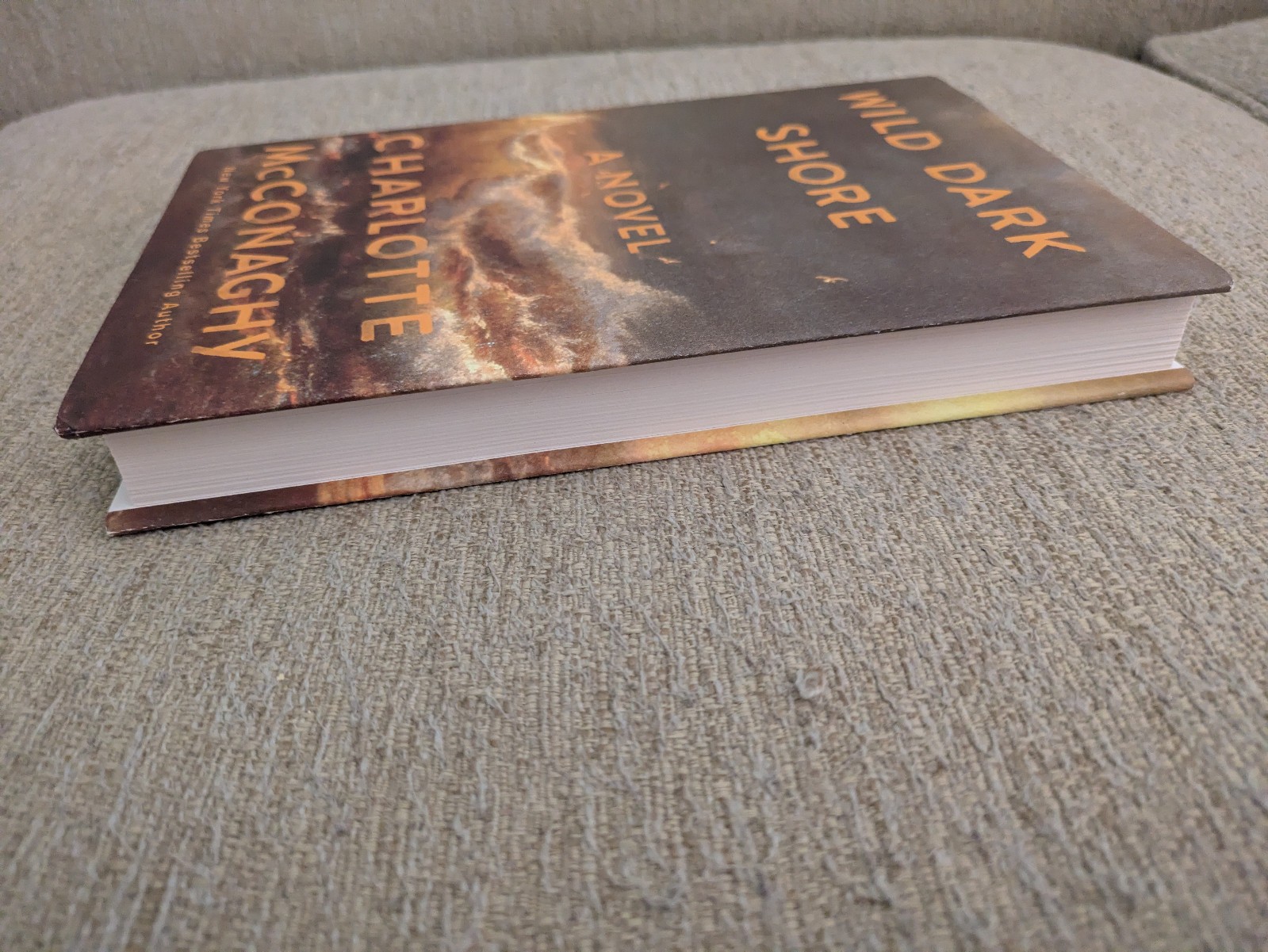 Wild Dark Shore A Novel | Charlotte McConaghy | 2025 Hardcover | 1st Edition