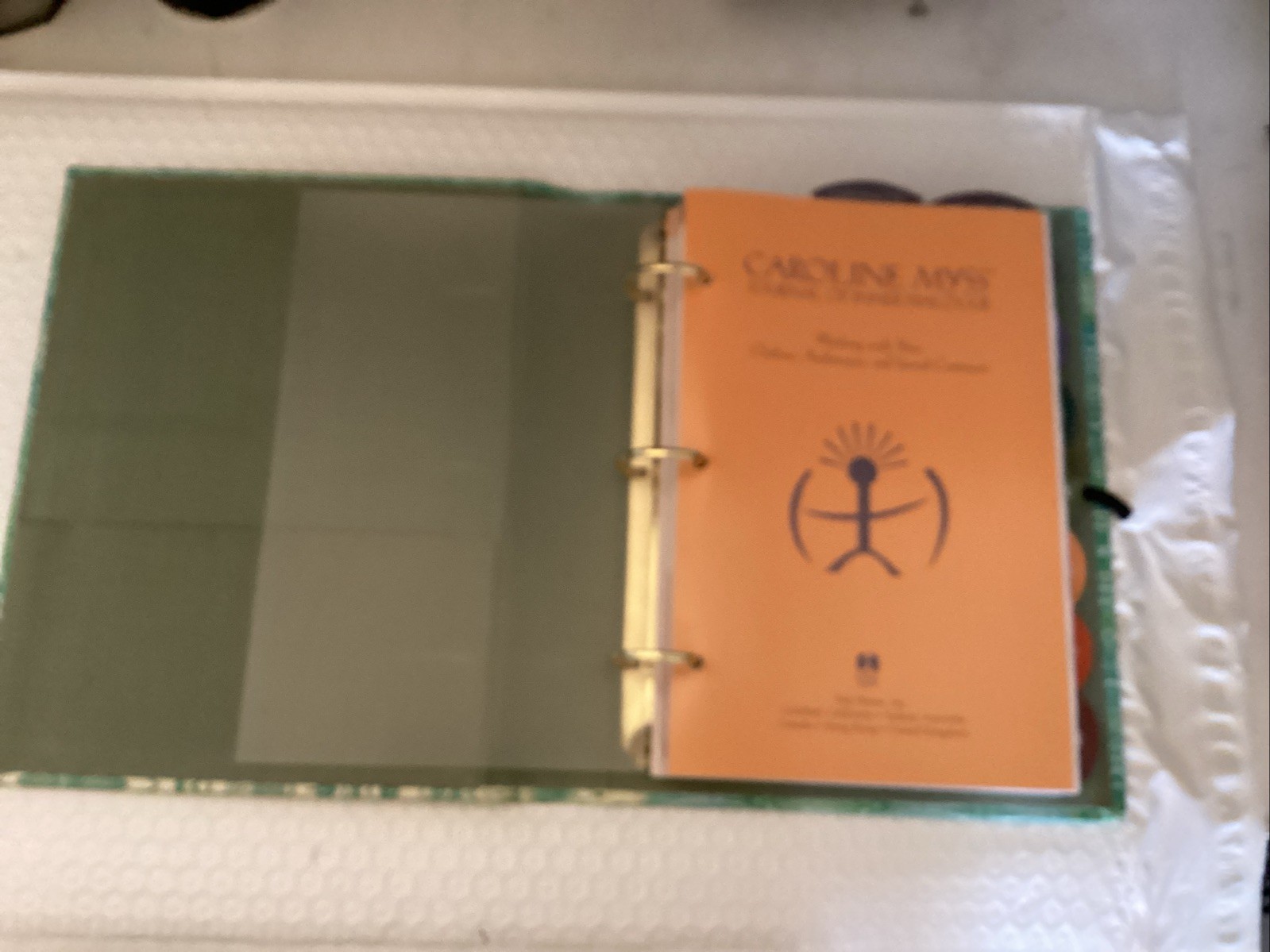 Caroline Myss’s Journal of Inner – Diary, by Myss Caroline