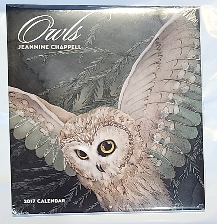 Owls Calendar Art Paintings Of Jeannine Chappell 13″ X 12″ New/Sealed