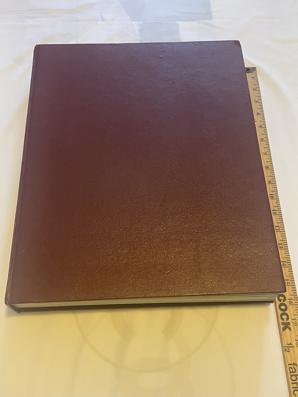 Donatello Prophet of Modern Vision Finn Hart Abrams Inc Huge Volume Hardcover