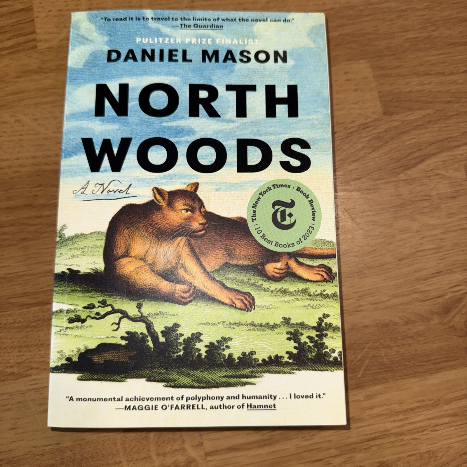 North Woods: A Novel Book Paperback New