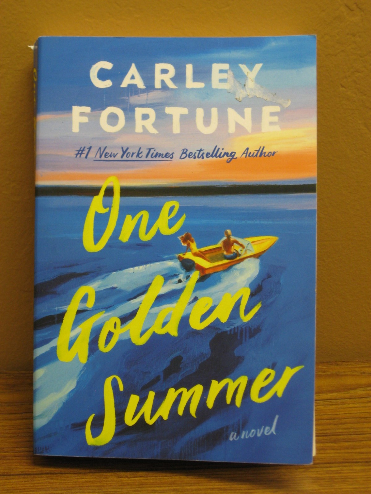 One Golden Summer by Carley Fortune (2025, Trade Paperback)