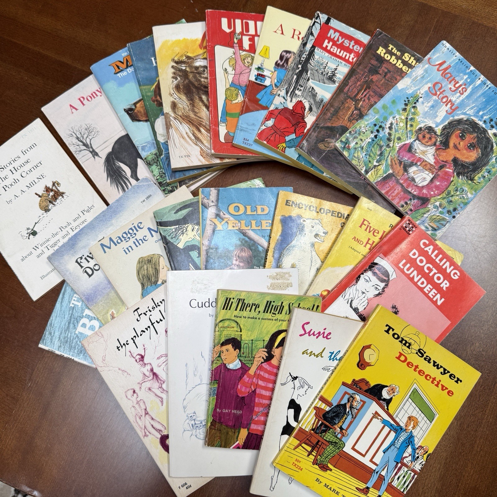 Large Lot of 24 Vintage Children’s Books – Scholastic, Willowisp ++ 1950s-80s