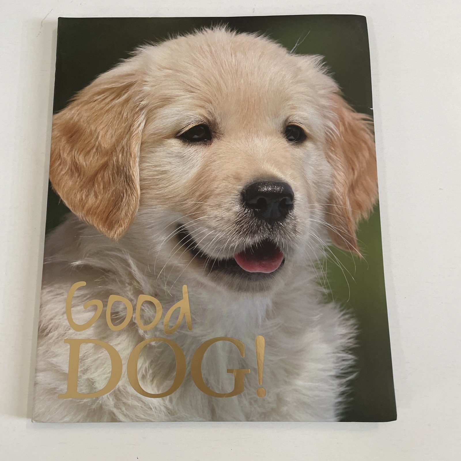 Good Dog Large 12 X 9 1/2 inch Dog Breed Picture Book NEW