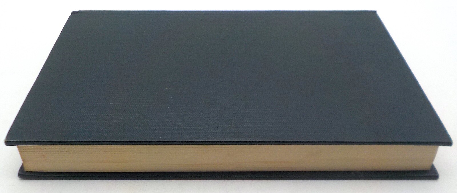 THE WORLD BELOW S Fowler Wright Hyperion Press HC 1976