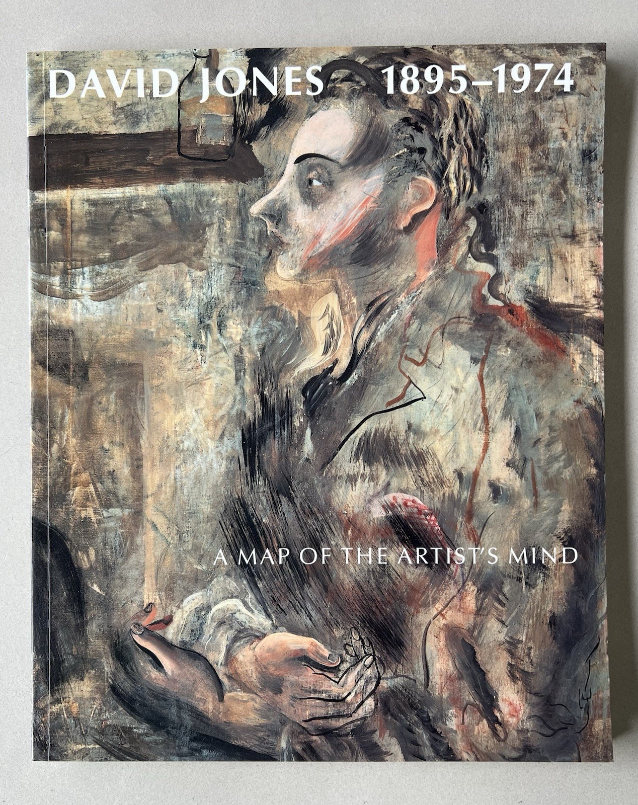 David Jones 1895-1974 A Map Of The Artists Mind Softcover Art Book