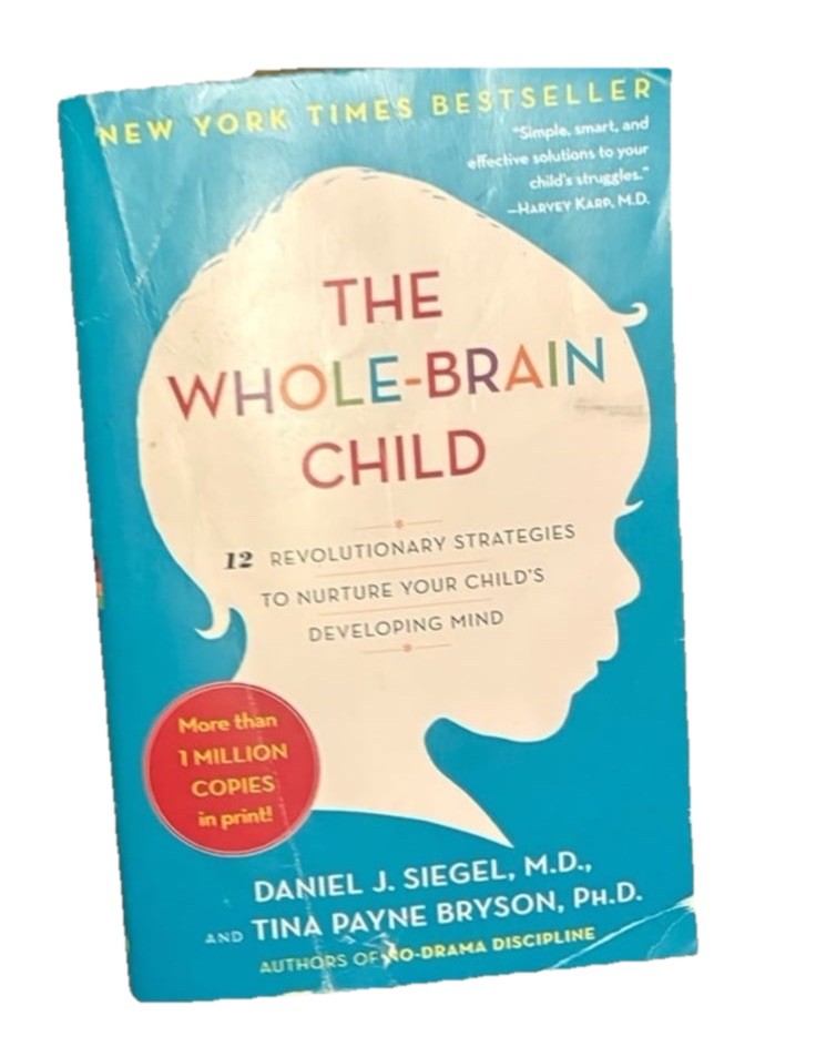 The Whole-Brain Child: 12 Revolutionary Strategies to Nurture Your Child’s…