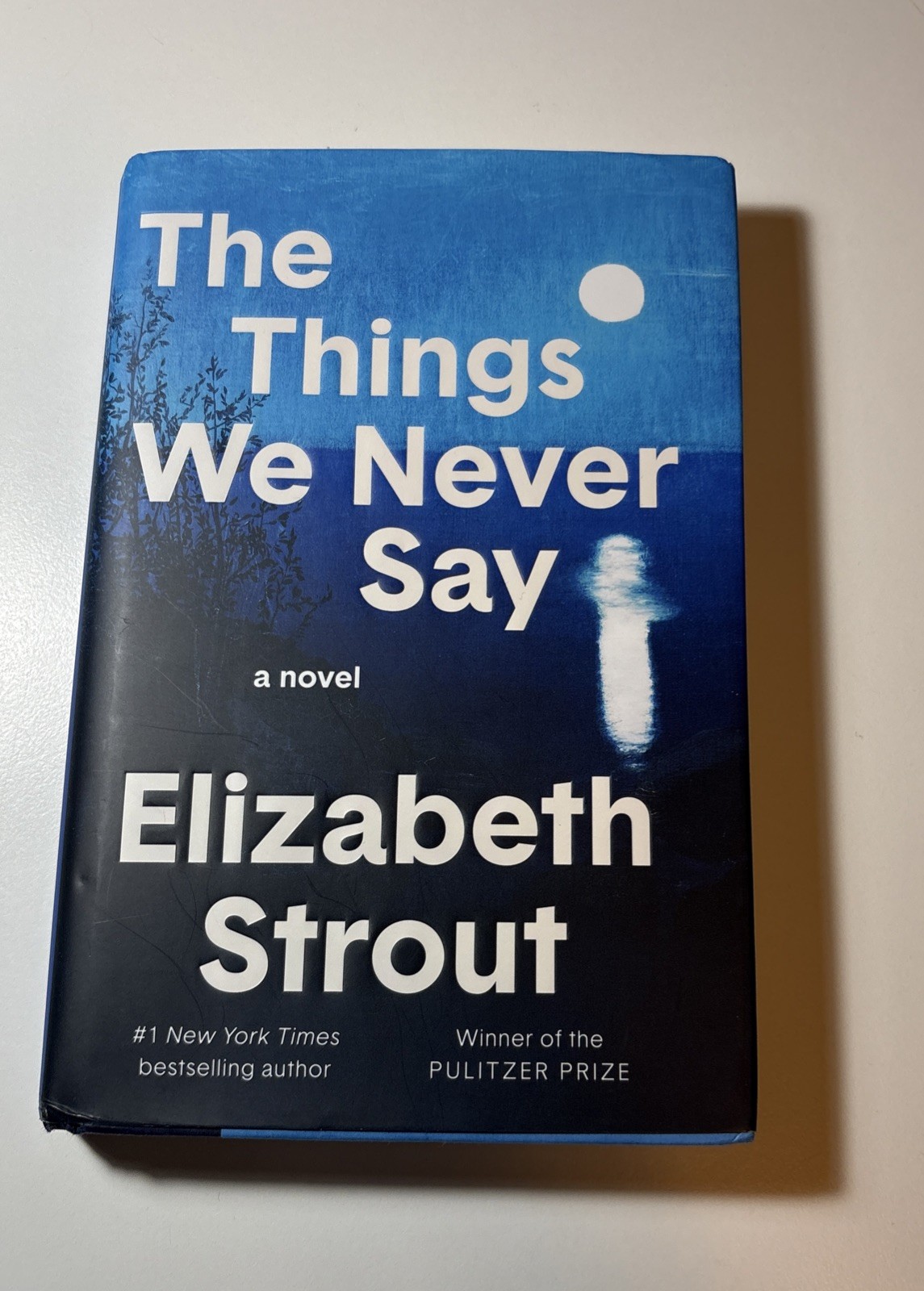 The Things We Never Say A Novel Elizabeth Strout 2026 Hardcover