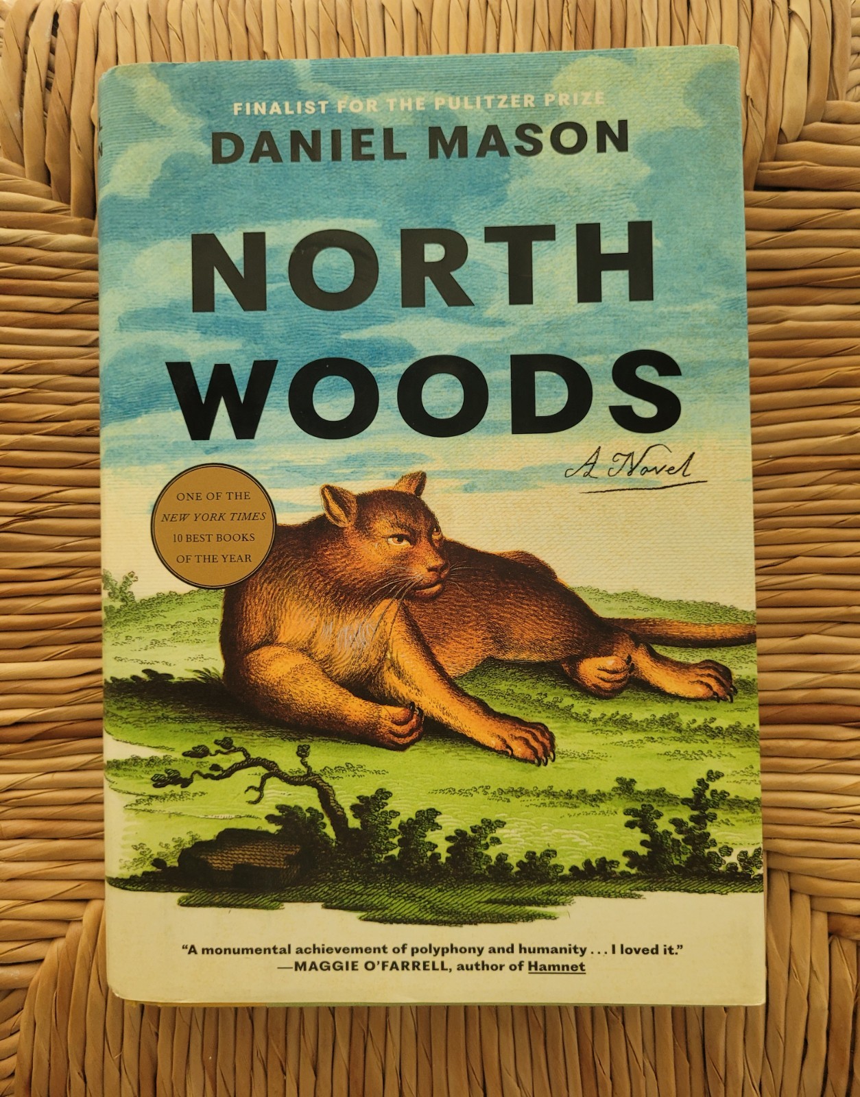 North Woods A Novel Hardcover Book Mason Daniel