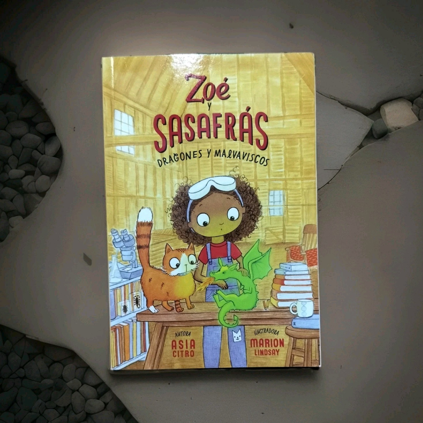 Zoé y Sasafrás: Dragones y Malvaviscos Asia Citro Hardcover Marion Lindsay