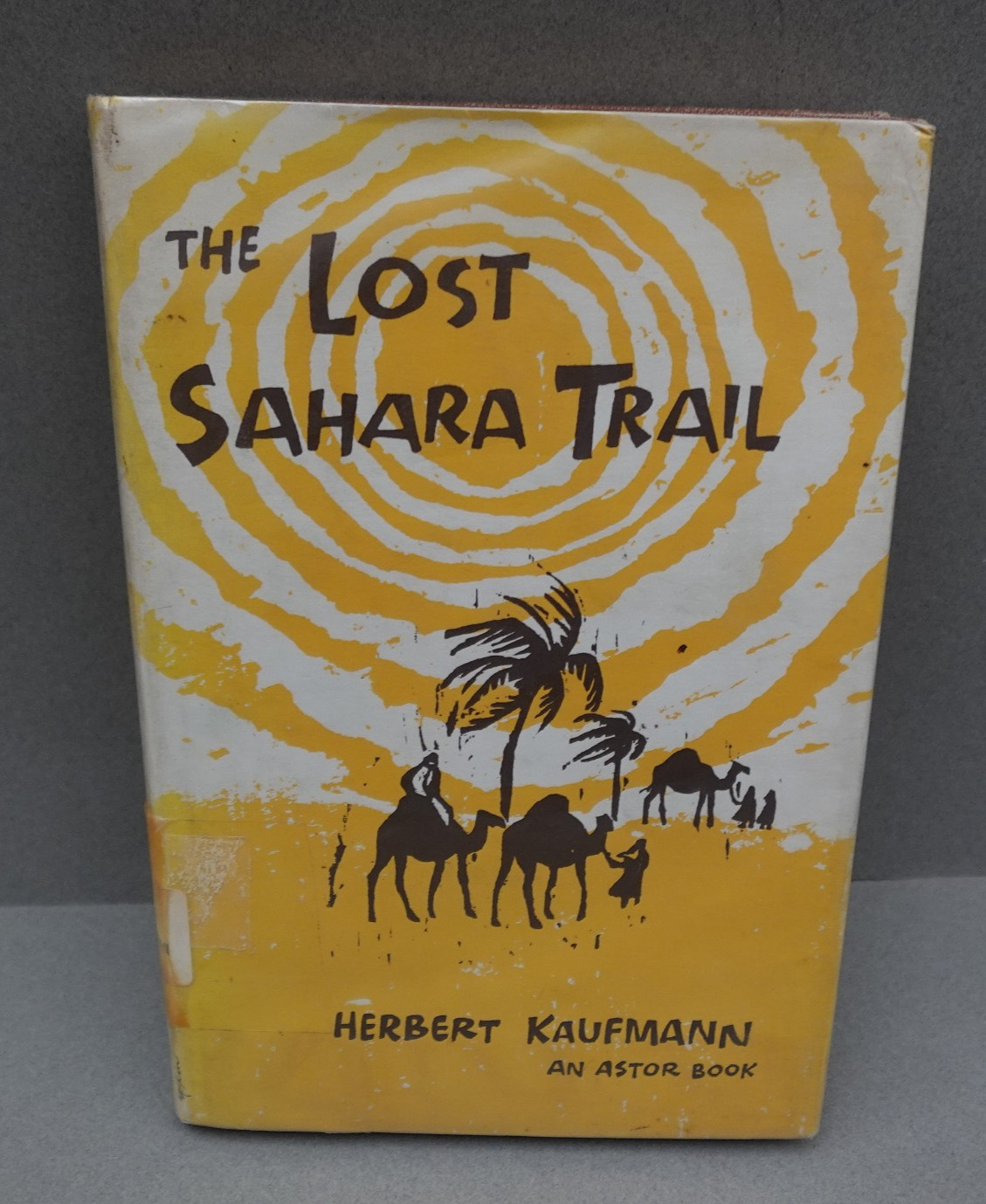 Vtg The Lost Sahara Trail By Herbert Kaufmann Hardcover 1st Printing Childrens