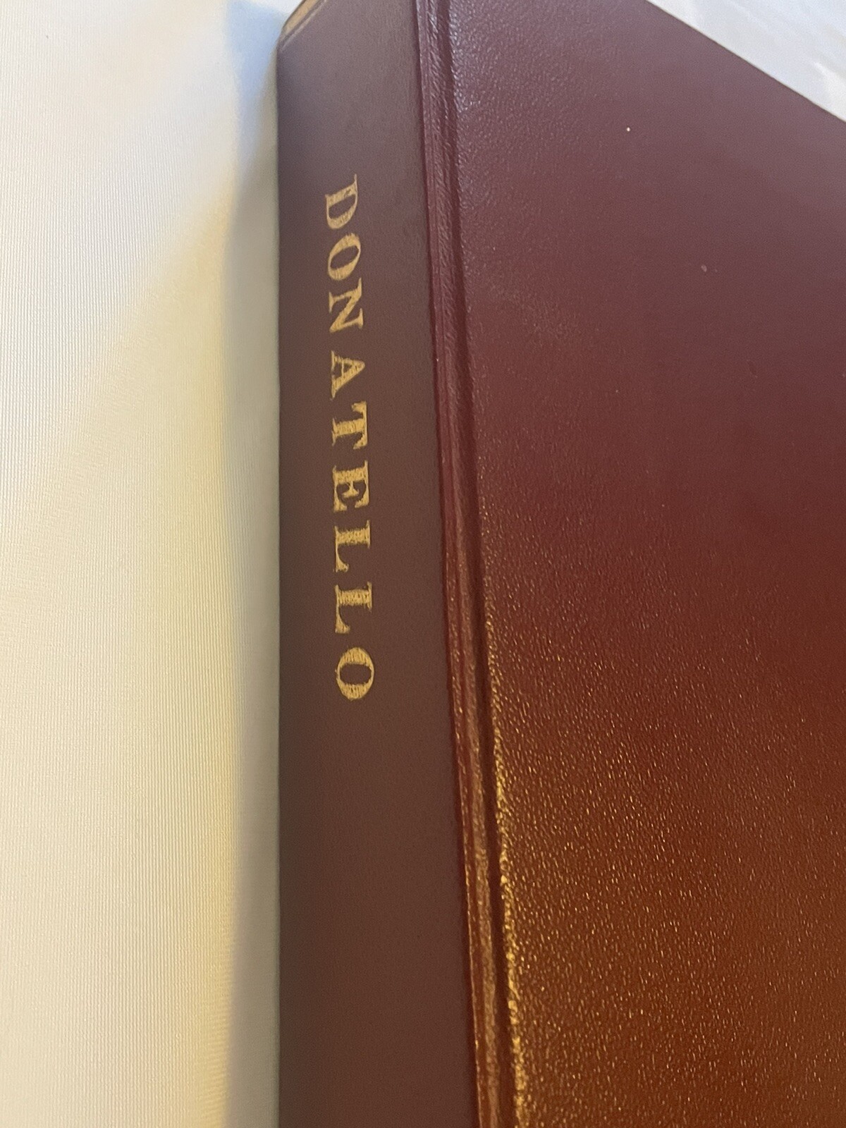 Donatello Prophet of Modern Vision Finn Hart Abrams Inc Huge Volume Hardcover