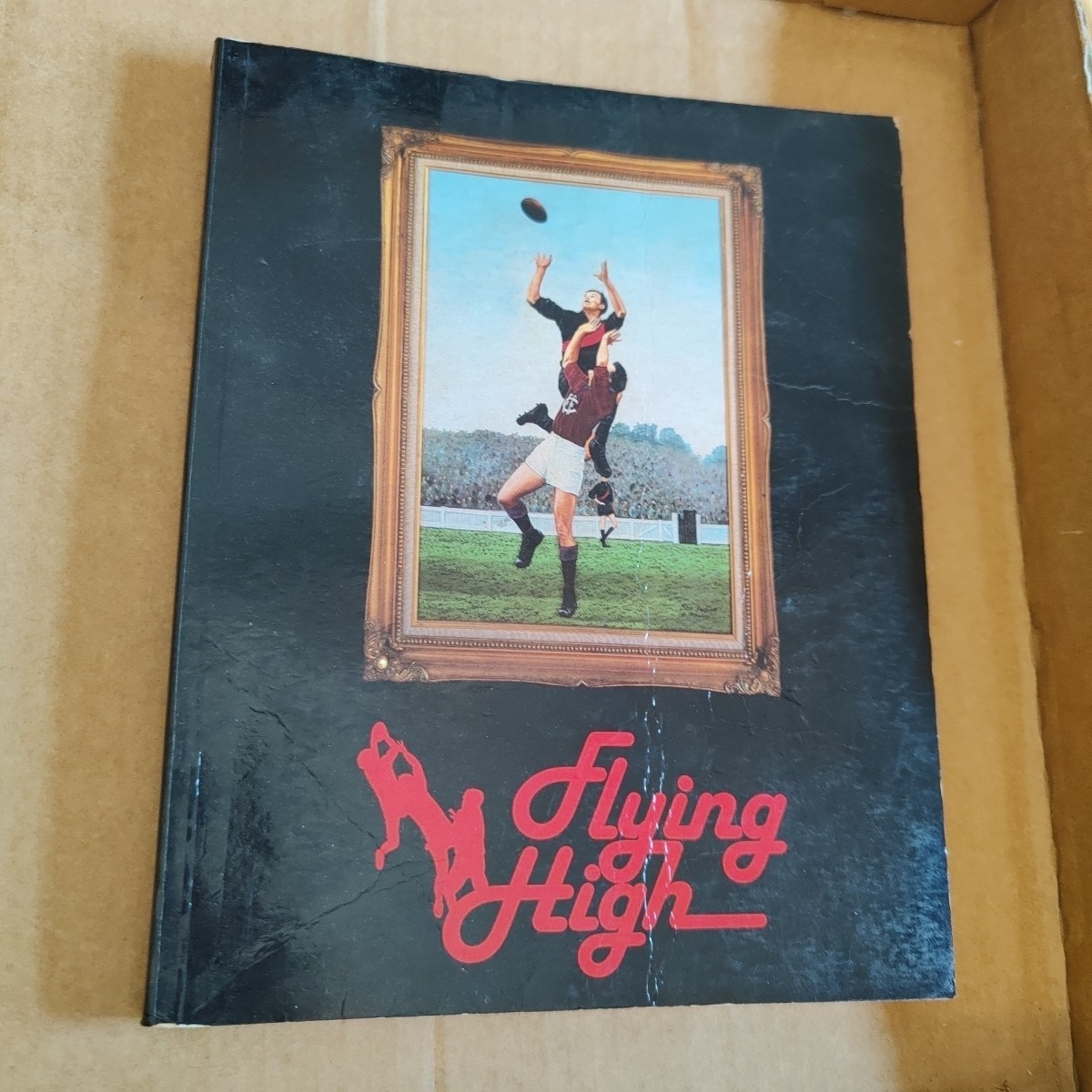 Flying High The History Of The Essendon Football Club 1983 329 Pages Hardcover