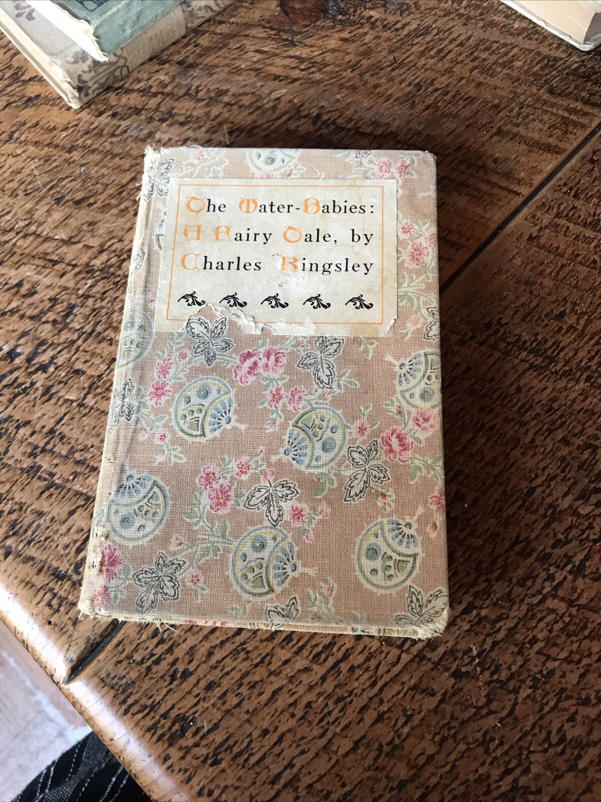 Antique Book 1895 Hardcover The Water Babies A Fairy Tale Charles Kingsley