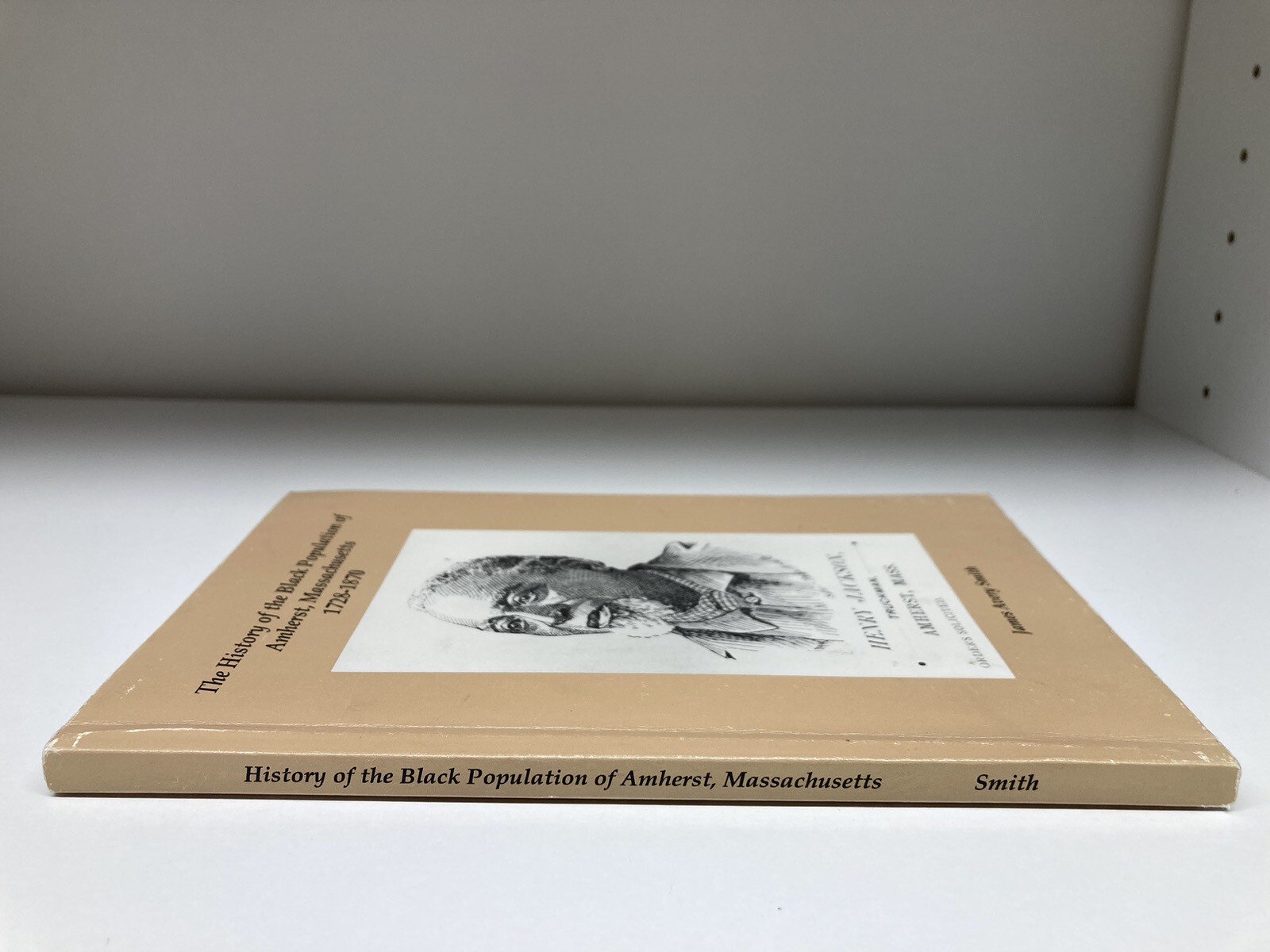 The History of the Black Population of Amherst, Massachusetts 1728-1870