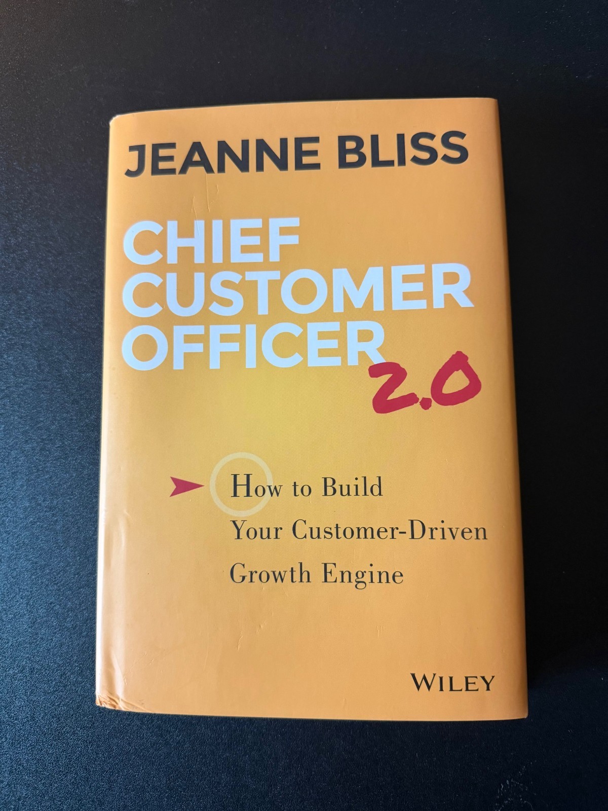 Chief Customer Officer 2.0 – VERY GOOD CONDITION, FREE SHIPPING!