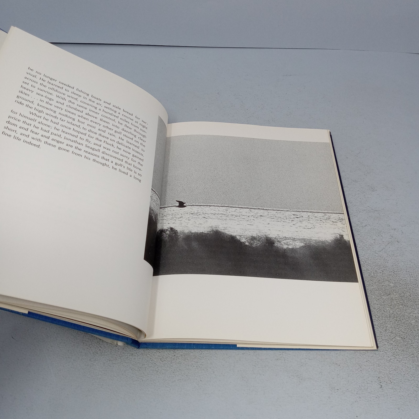 Jonathan Livingston Seagull 1970 The Macmillan Company Hardcover by Richard Bach