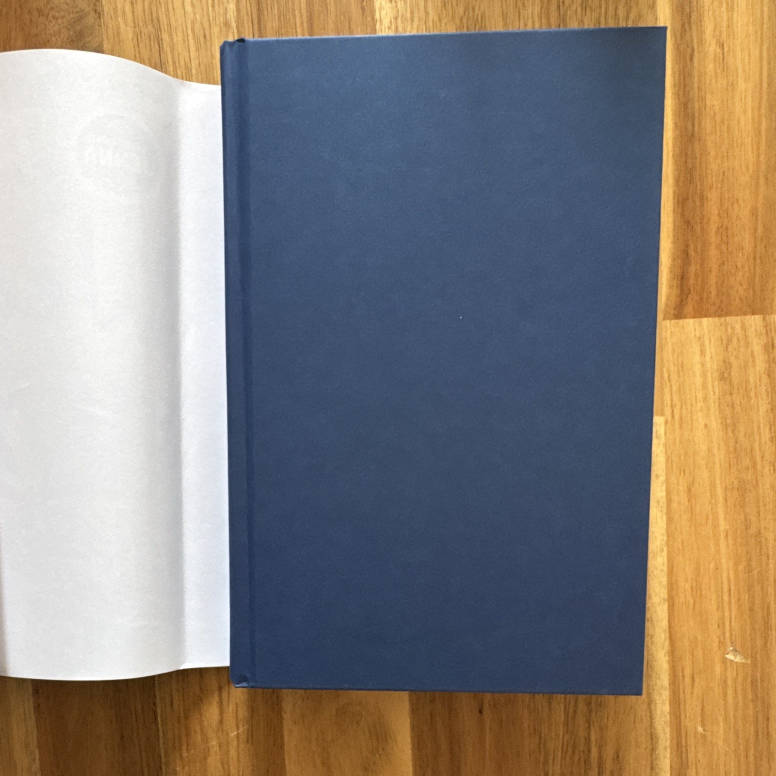 Alison Espach The Wedding People Novel Hardcover 2024 1st Ed Dust Jacket