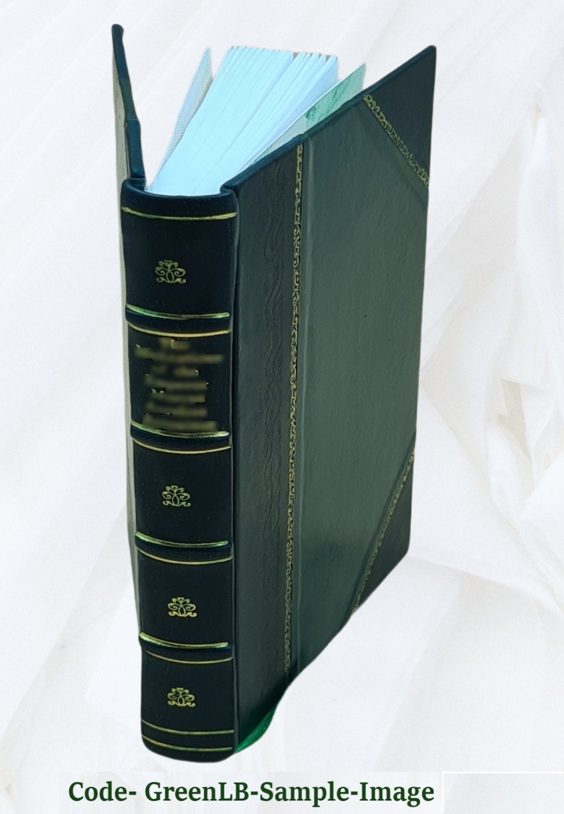Demonology and devil-lore V. 1 1879 by Conway, Moncure Daniel,