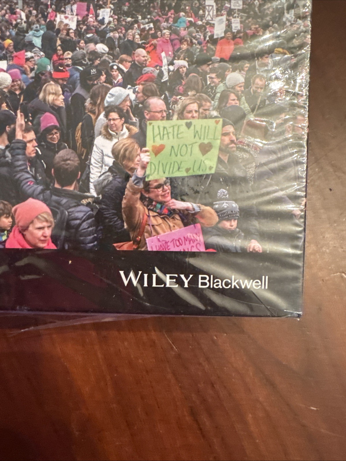 The Wiley Blackwell Companion to Social Movements by David A. Snow