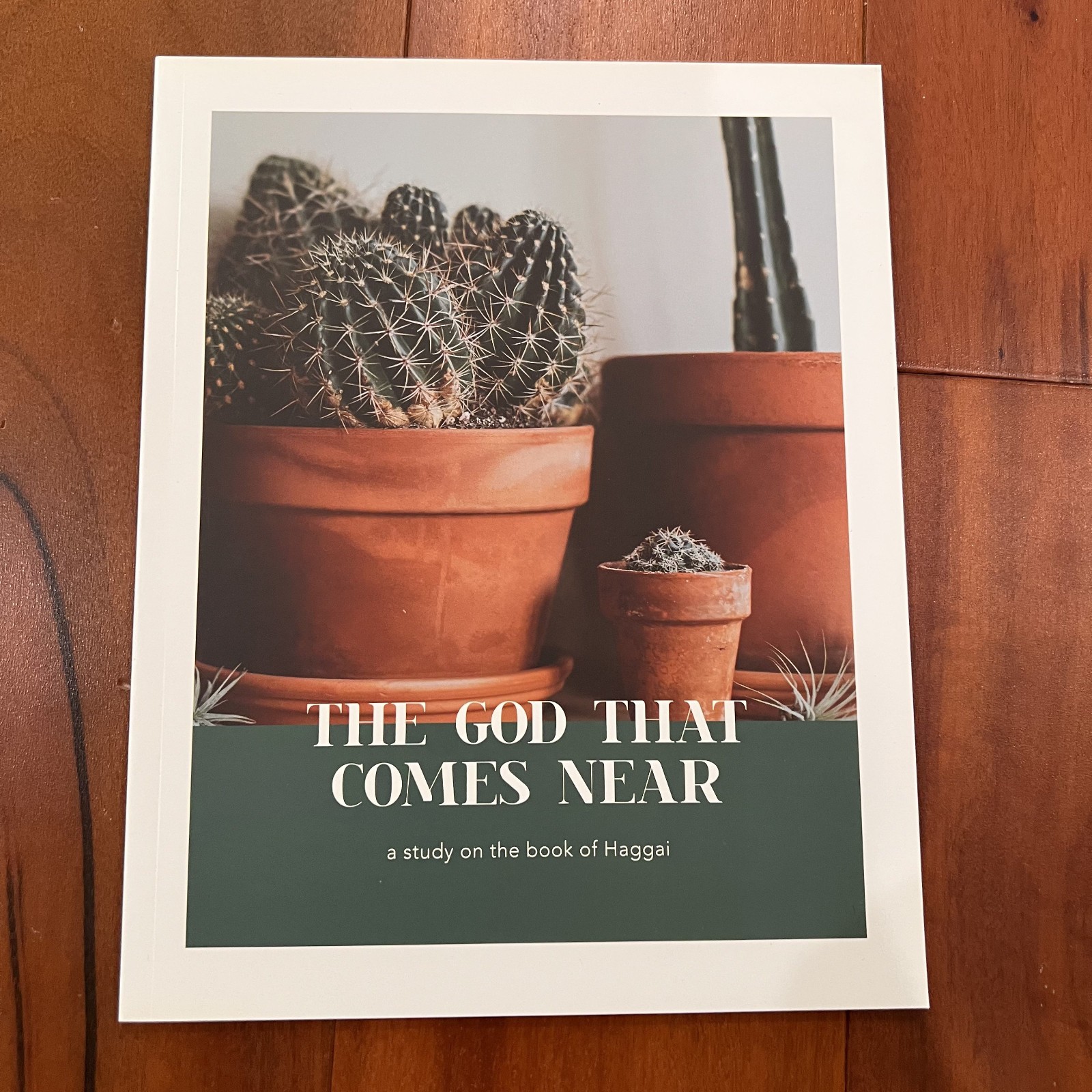 The God That Comes Near by The Daily Grace Company Bible Study *BRAND NEW*