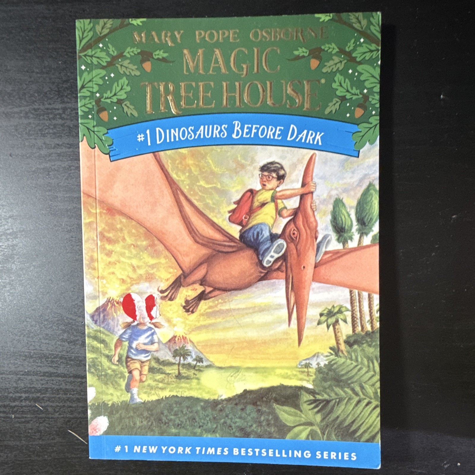 1-28 Magic Tree House #1 Dinosaurs Before Dark PB Mary Pope Osborne Ages 4-8