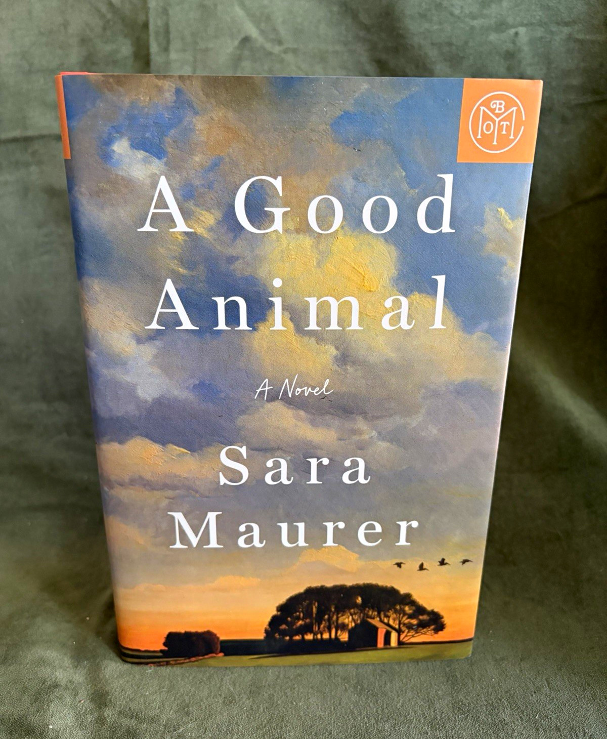 Sara Maurer A Good Animal Hardcover St. Martin’s Press 2026 Dust Jacket