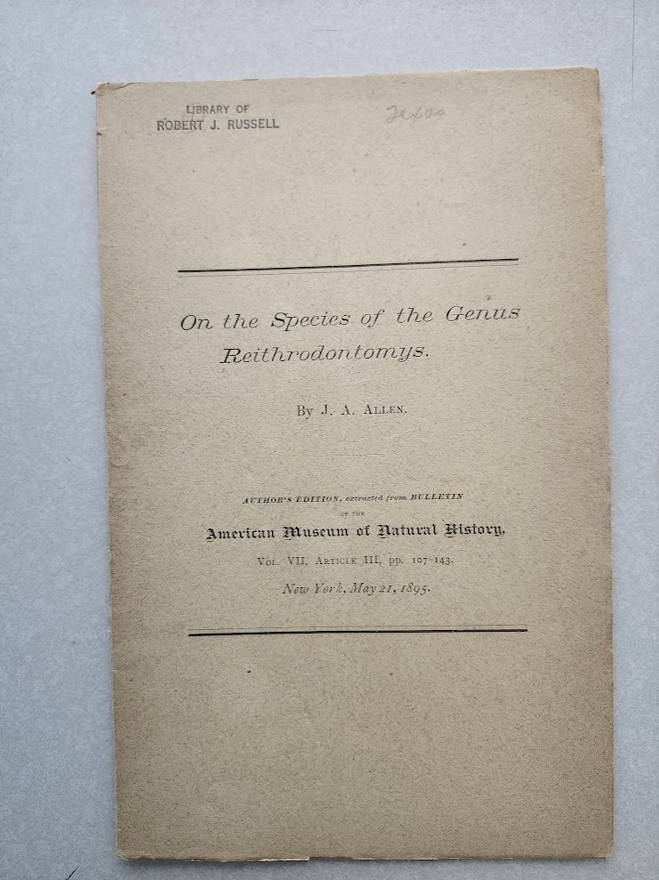 On Species Reithrodontomys American Museum Natural Bulletin 1895 J. A. Allen VG!