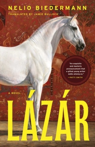 Lázár by Nelio Biedermann [Hardback]