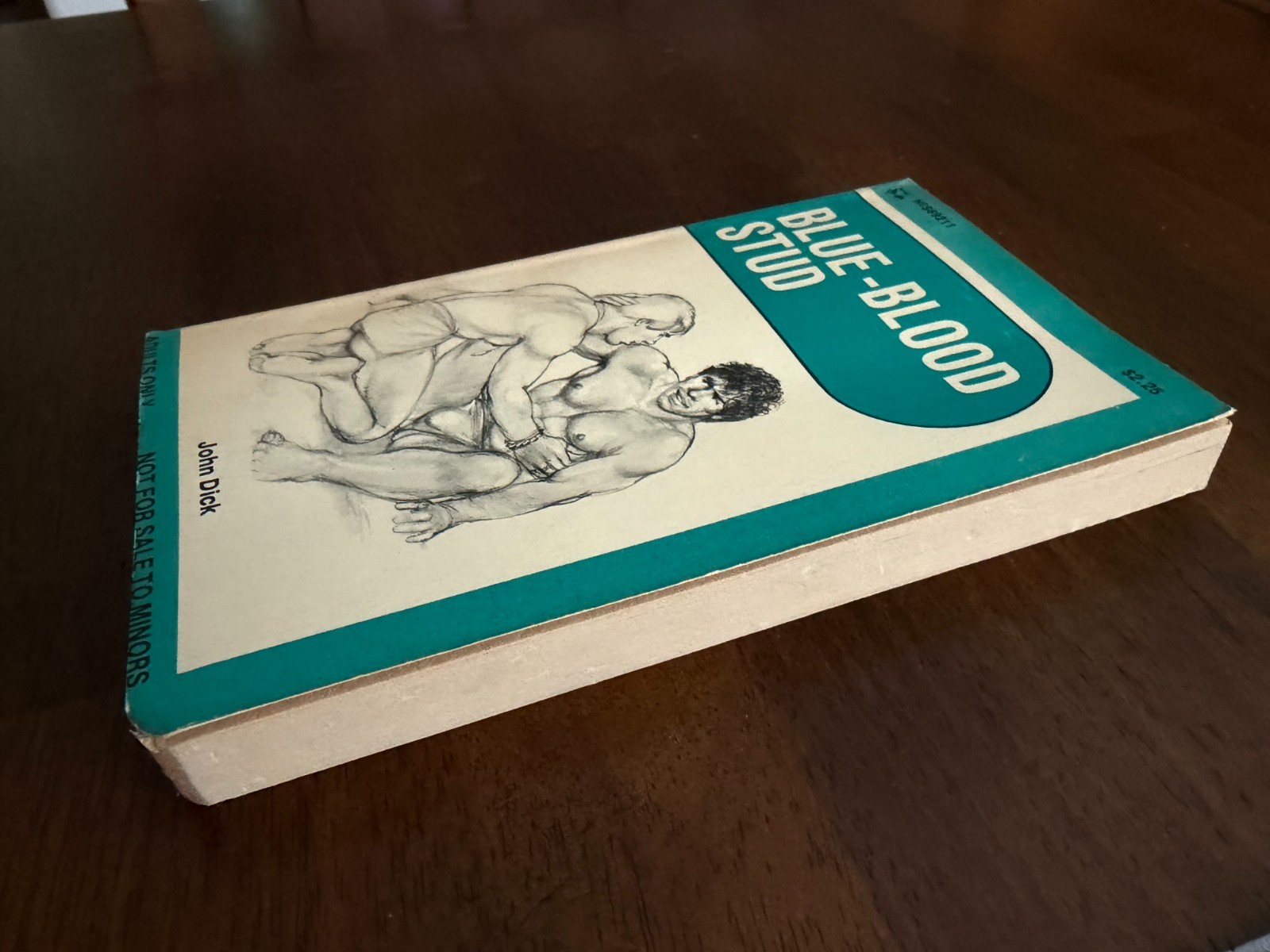 BLUE-BLOOD STUD by John Dick HIS69211 Gay Pulp Paperback 1977, Very Good