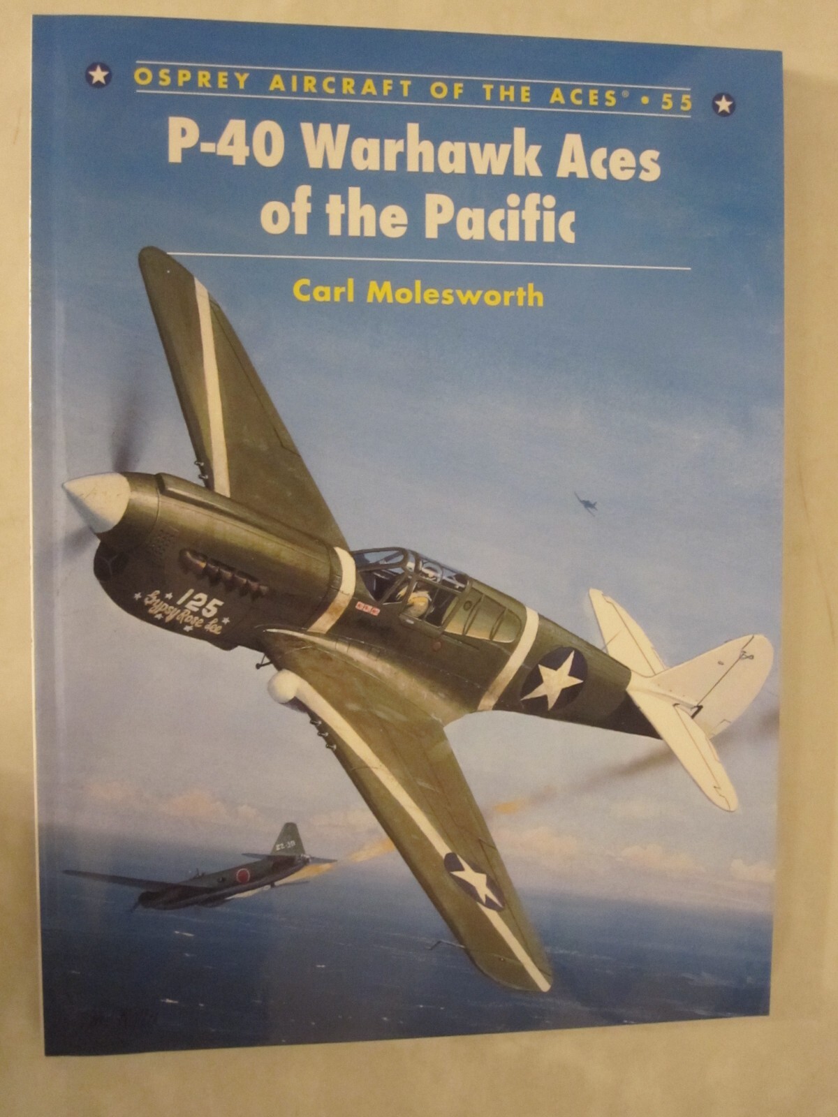 Osprey Aircraft of the Aces 55: P-40 Warhawk Aces of the Pacific
