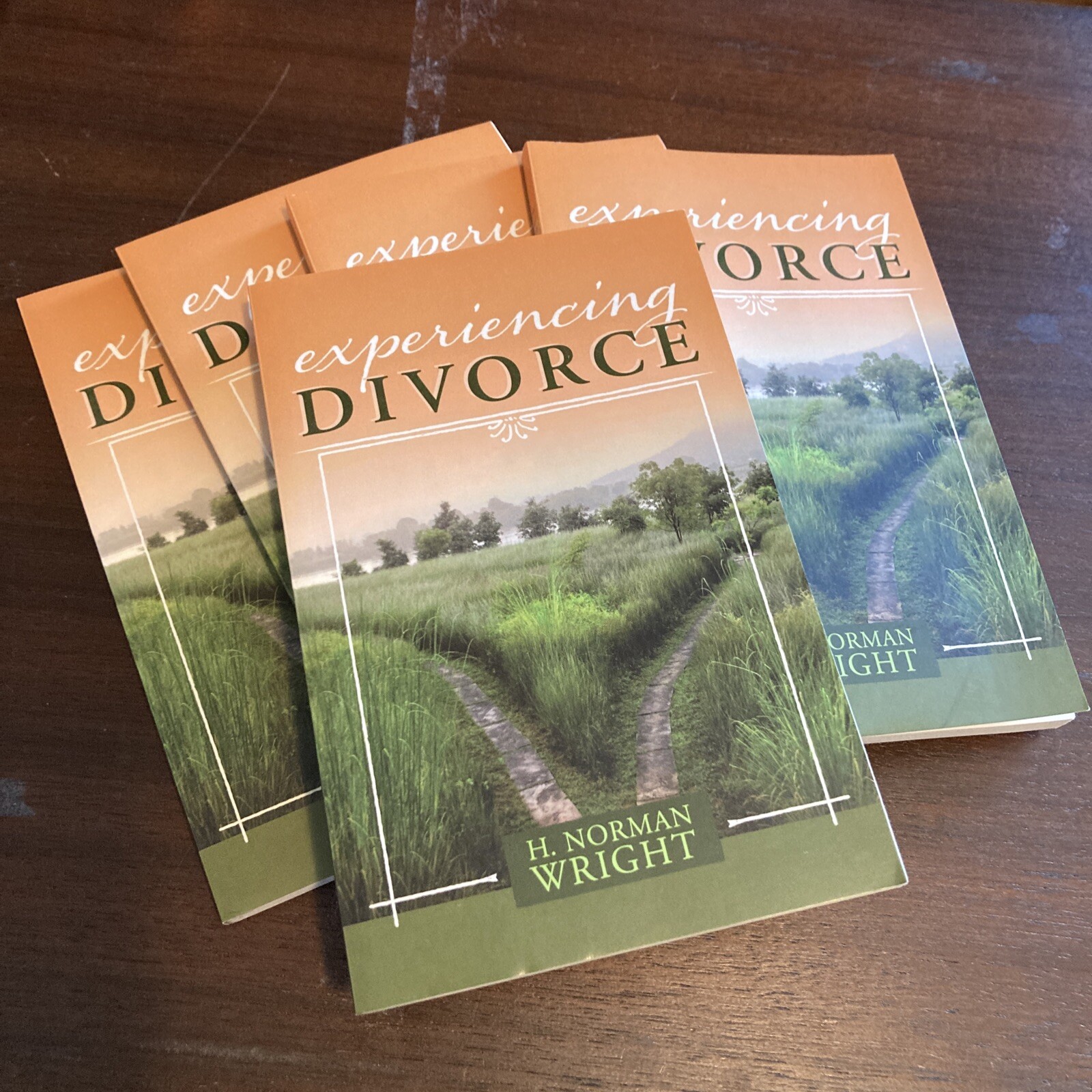 Lot of 5 copies – Experiencing Divorce by Dr. Wright, H Norman: New – Free Ship