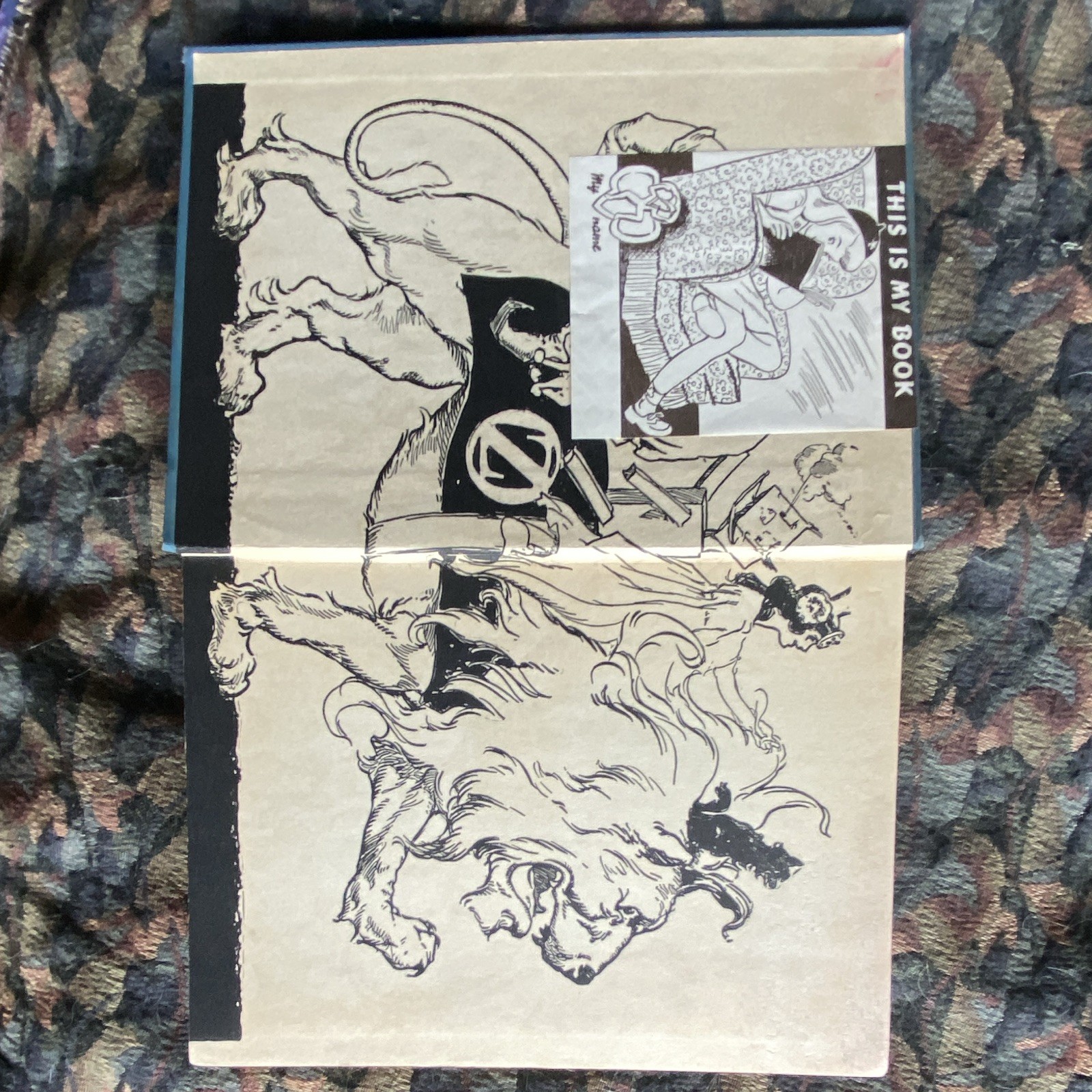Ruth Plumly Thompson The Cowardly Lion of Oz Illustrated Hardcover Reilly & Lee