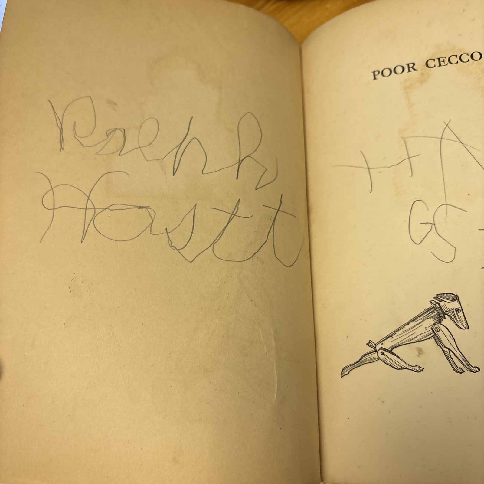 Poor Cecco – Margery Williams Bianco / Arthur Rackham 1925 Original HC
